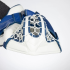 BRANKÁŘSKÁ LAPAČKA A VYRÁŽEČKA WARRIOR Ritual G6.1 E+ (SET) SR WHITE-BLUE